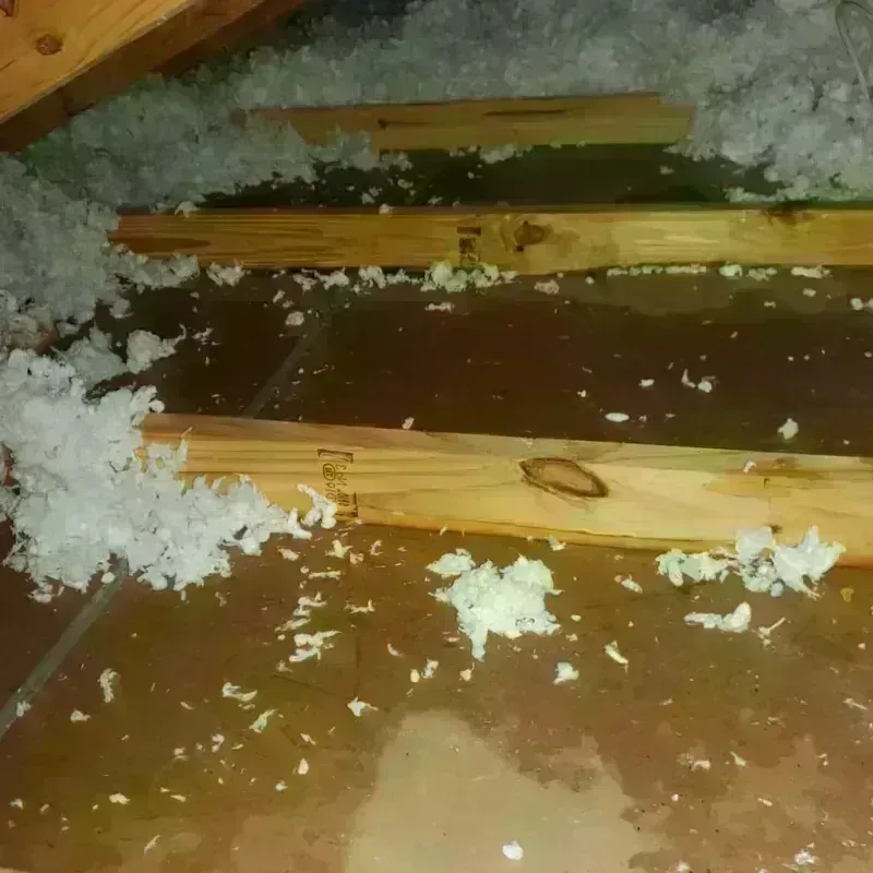 Attic Water Damage in Fairdale, KY